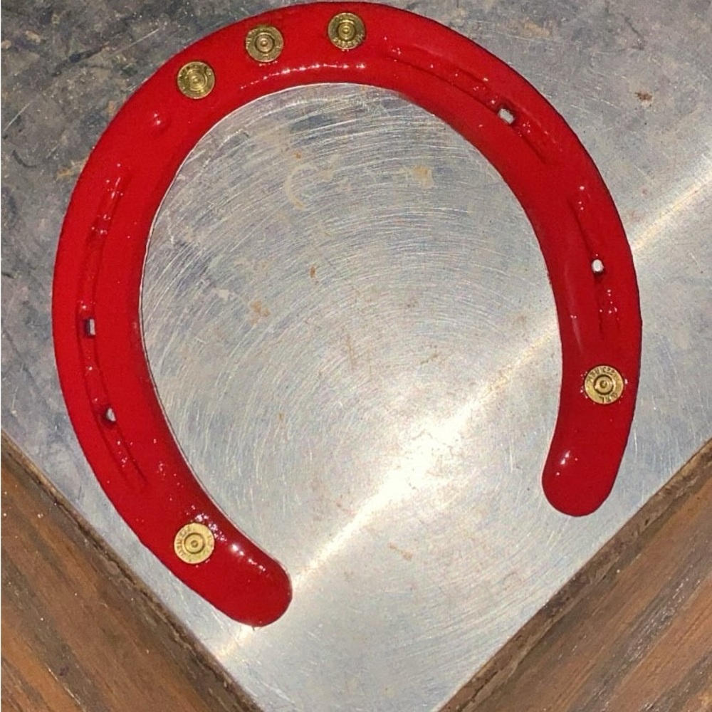 Horseshoe picture frame